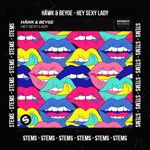 HÄWK & BEYGE - Hey Sexy Lady (Stems Pack)